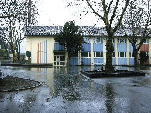 Winfriedschule